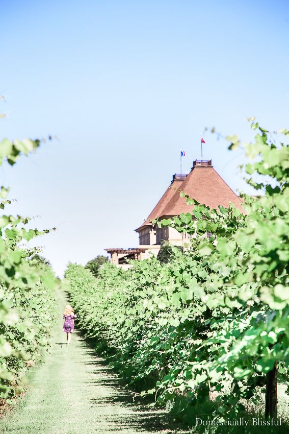 5 reasons why you need a weekend getaway to a little piece of France in North Georgia at Château Élan.