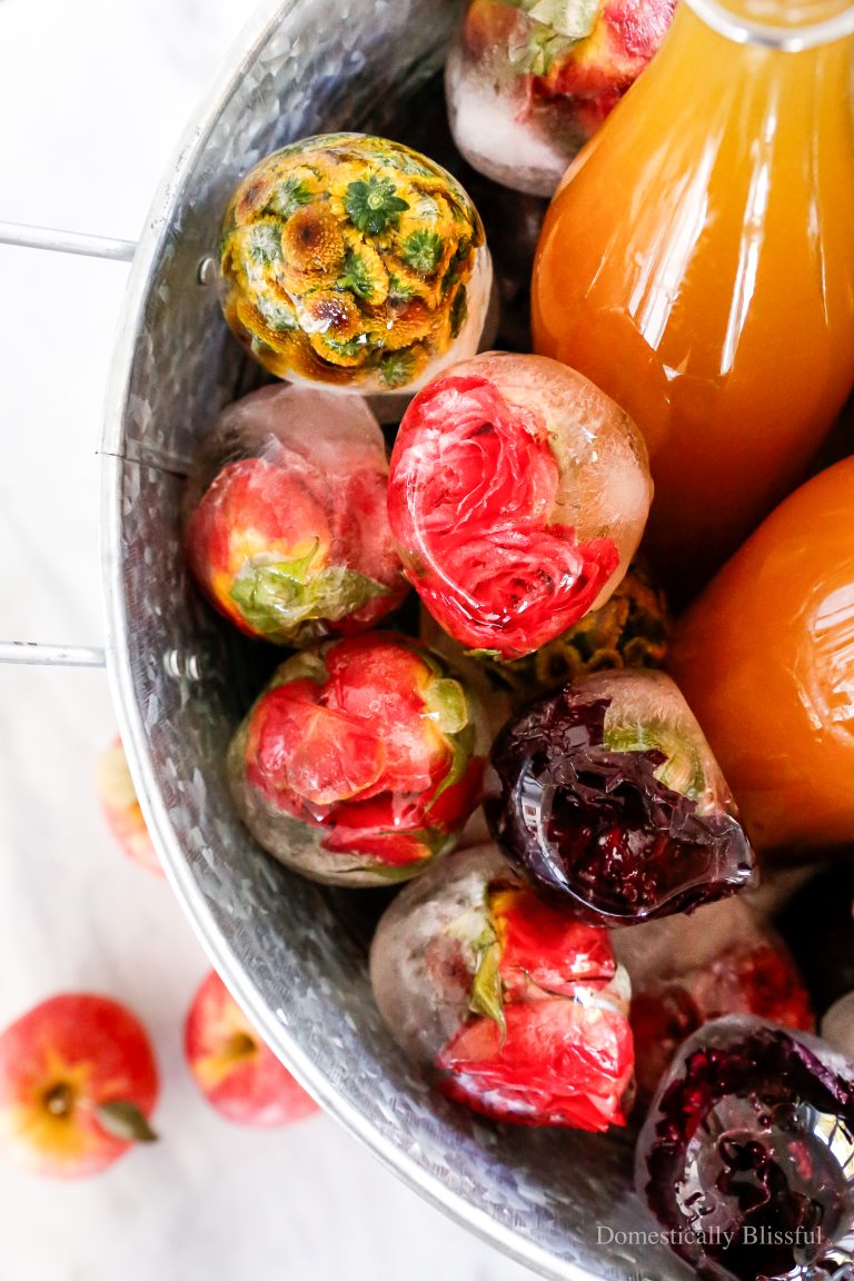These Fall Flower Ice Balls are made with water and autumn color flowers. They are perfect for keeping your apple cider chilled at your next fall party.