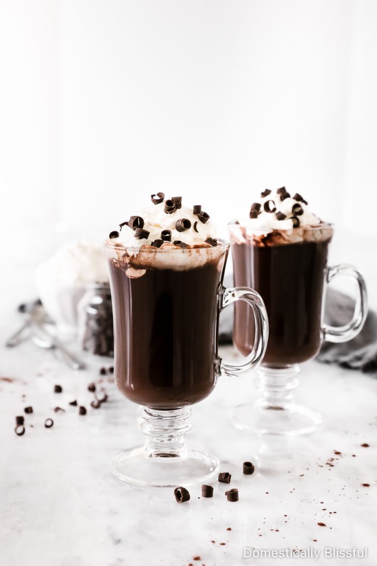This Double Dark Hot Chocolate is a thick hot chocolate similar to French Hot Chocolate that is rich, creamy, and filled with lots of dark chocolate.