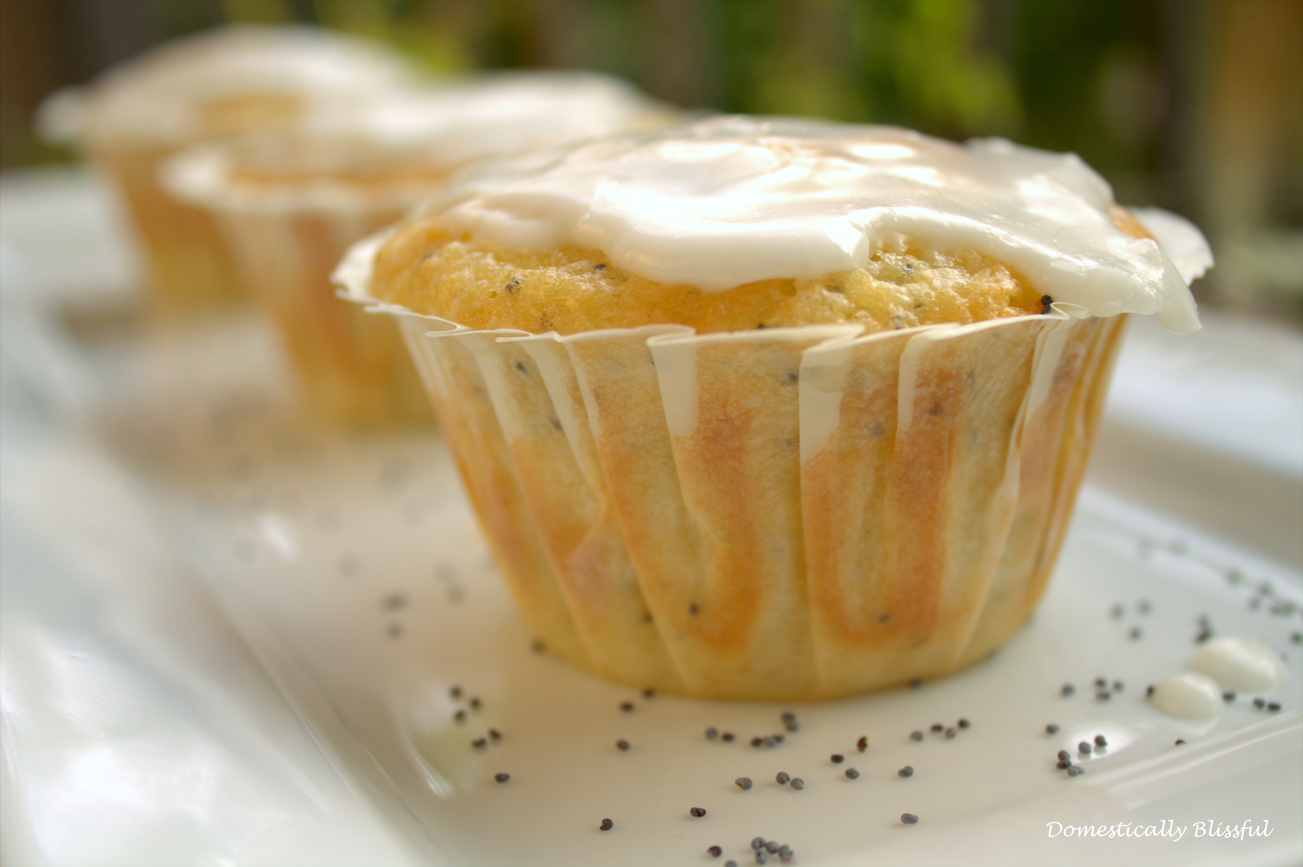 Lemon Poppy Seed Muffins