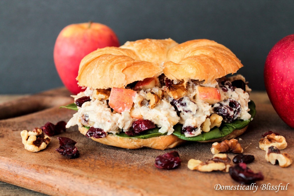 Sandwich with Apples Cranberrys and Chicken