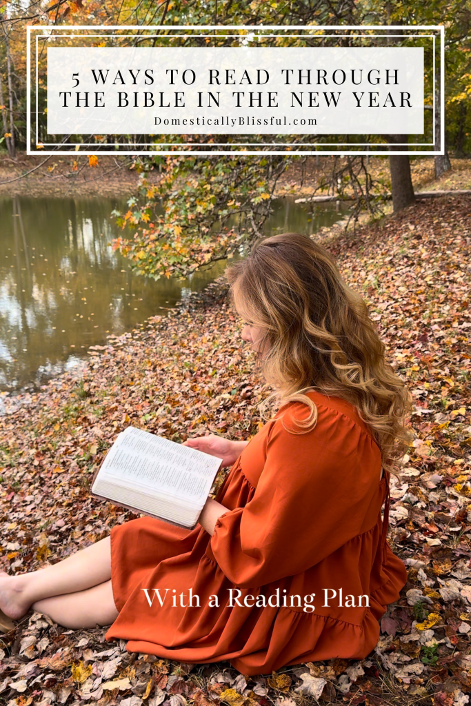 5 Ways to Read Through the Bible in the New Year to help you discover more Biblical treasures while drawing closer to Christ.