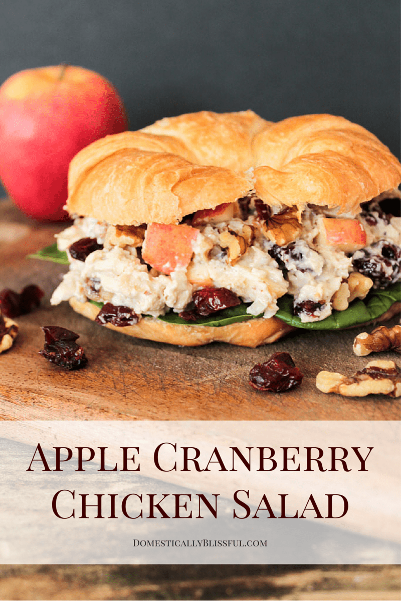 Apple Cranberry Chicken Salad