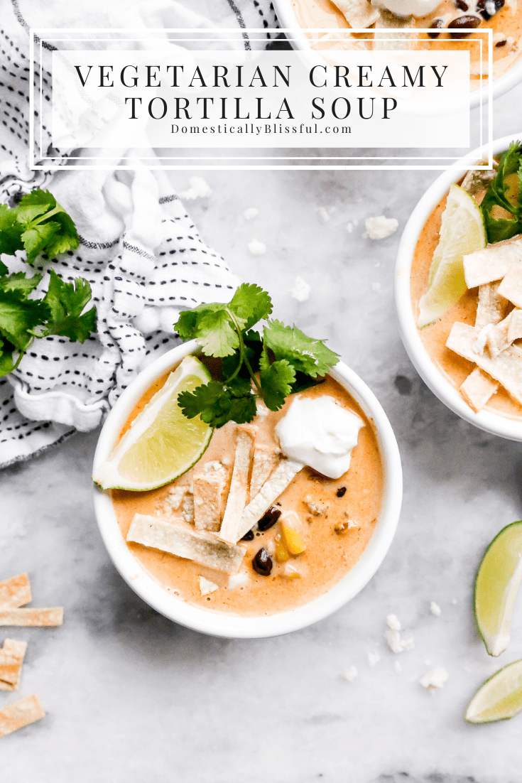 This Vegetarian Creamy Tortilla Soup is a fun creamy twist on traditional vegetarian tortilla soup. 