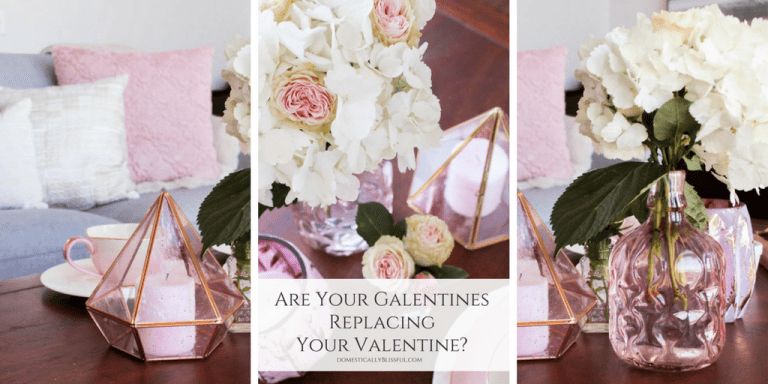 Are Your Galentines Replacing Your Valentine? A Biblical look at how our female friendships can affect (negatively & positively) our marriages & how we need to make our husband & marriage a priority.