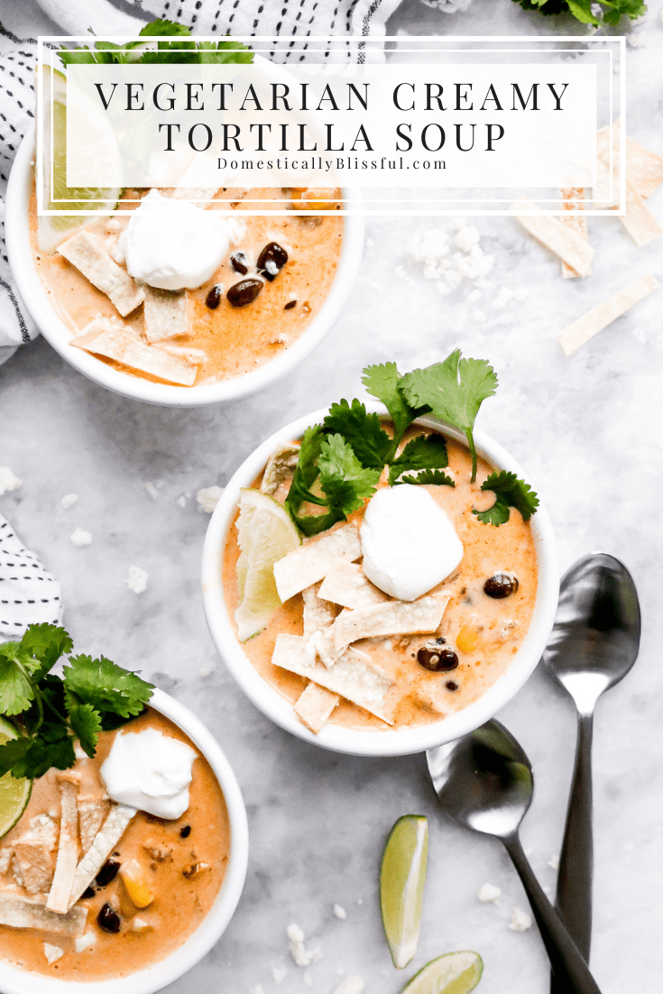 This Vegetarian Creamy Tortilla Soup is a fun creamy twist on traditional vegetarian tortilla soup. 