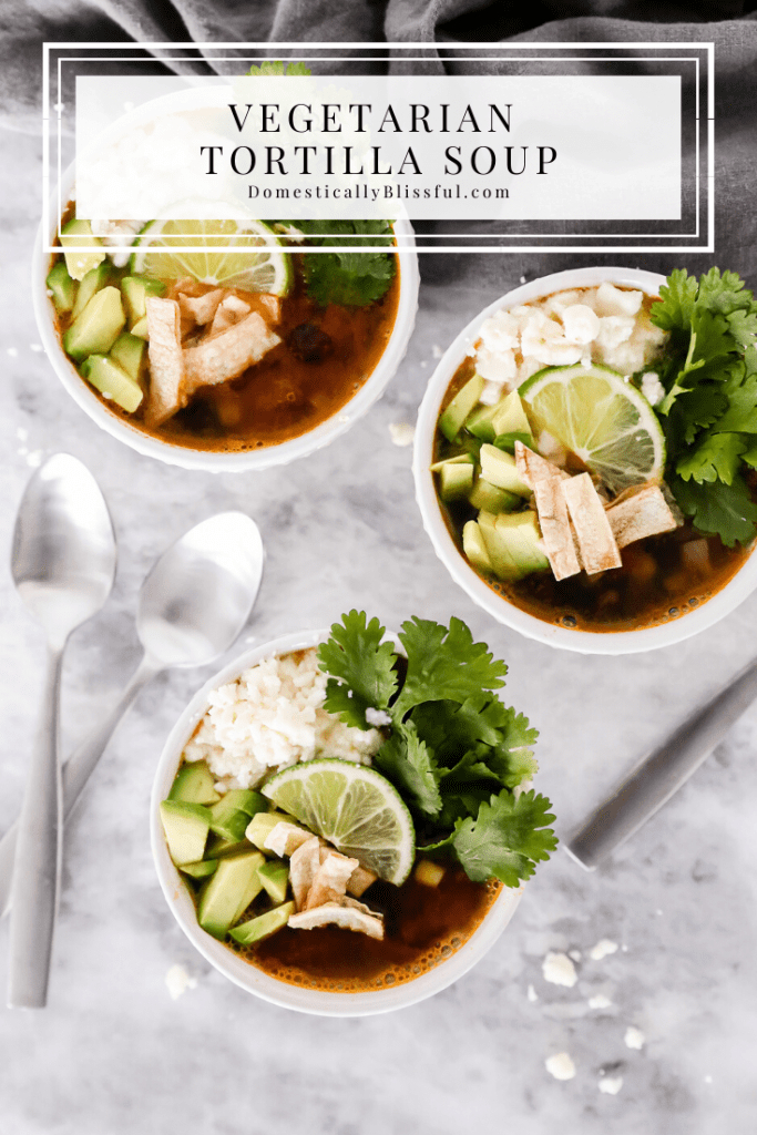 This Vegetarian Tortilla Soup is topped with fresh flavors and oven-roasted corn tortilla chips.